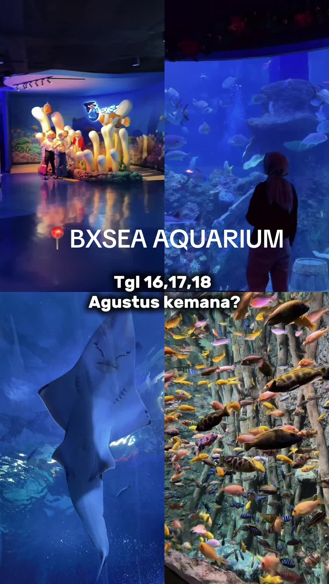 @your dinosaurs