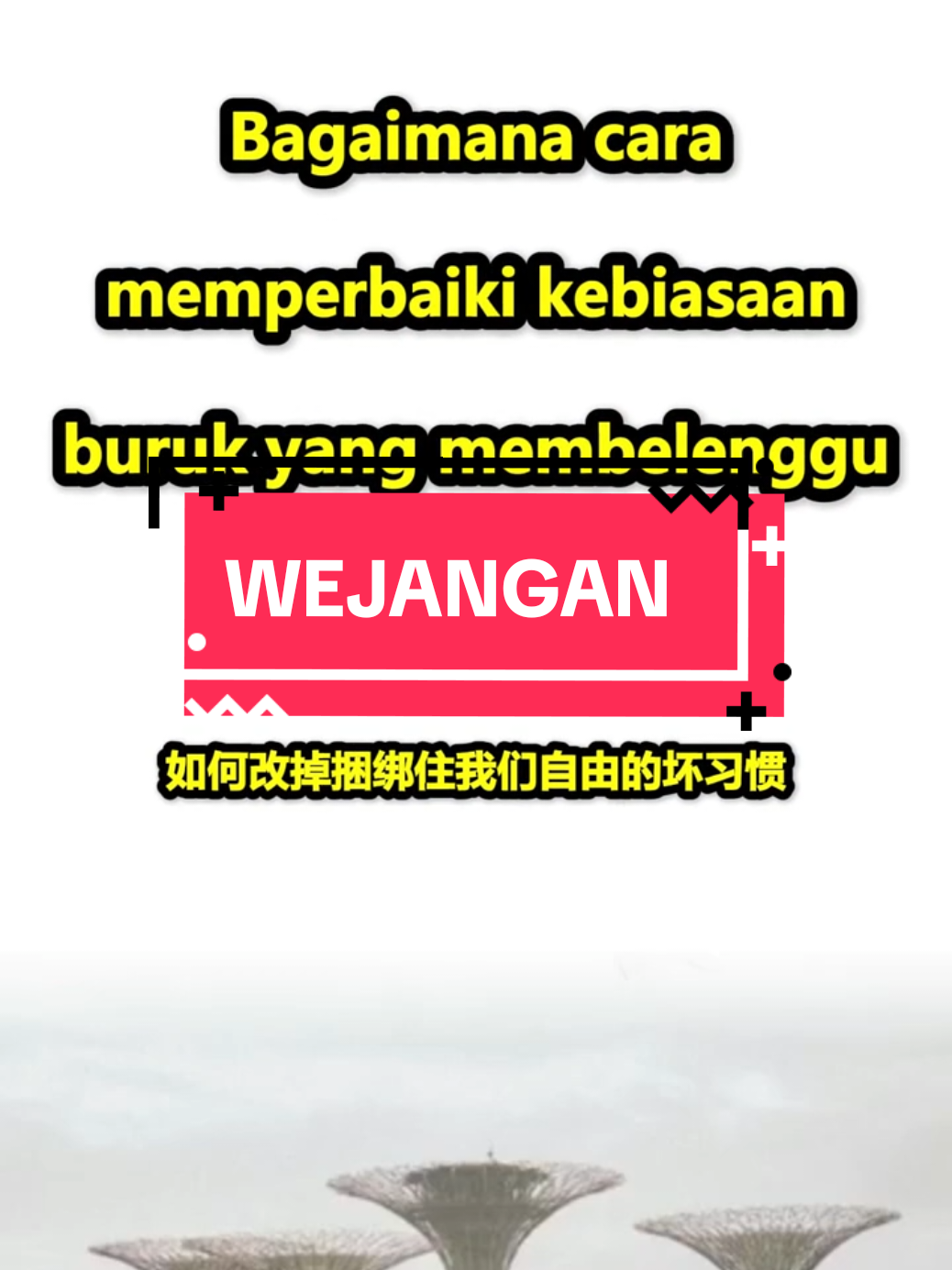 @MASTER LU