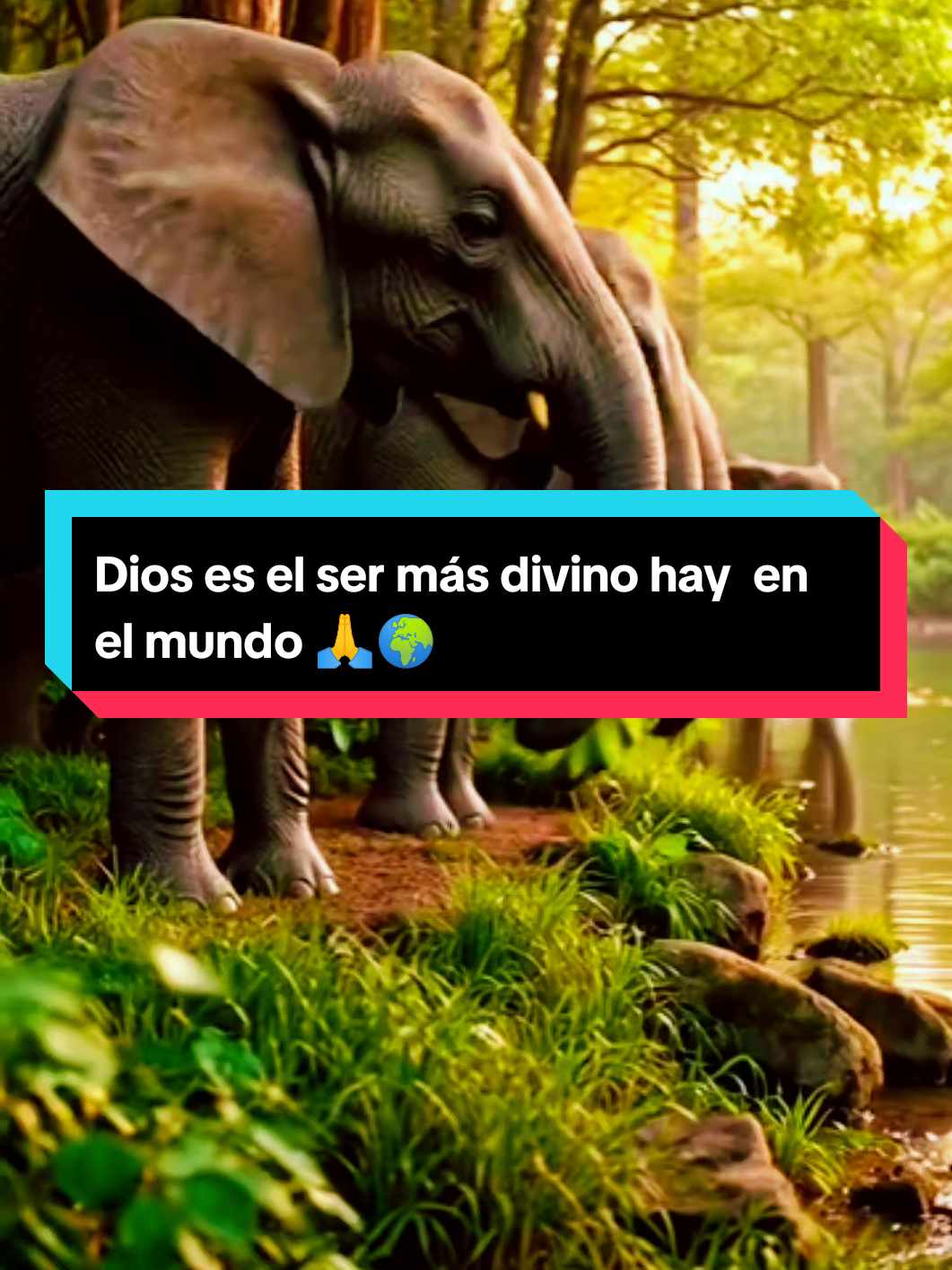 @@Teo Rodriguez