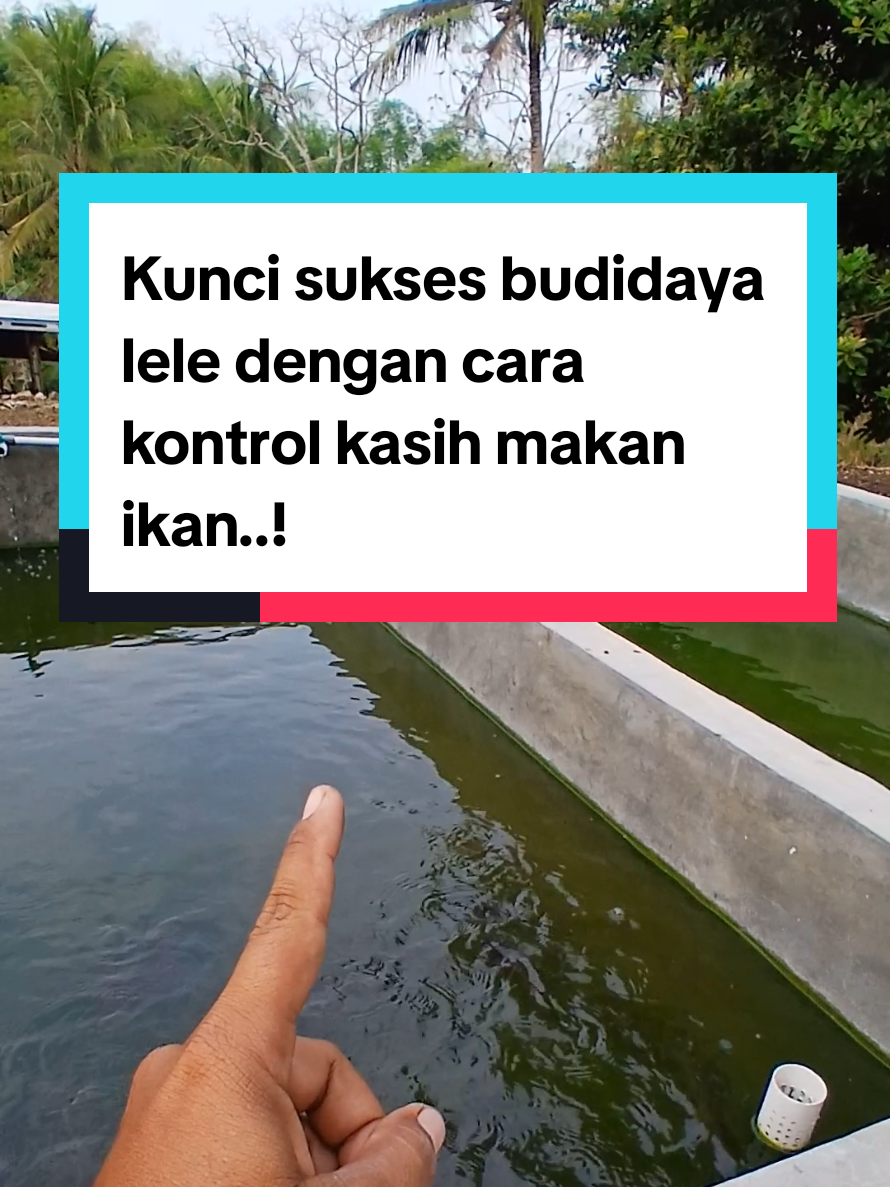@Kang_Ewi