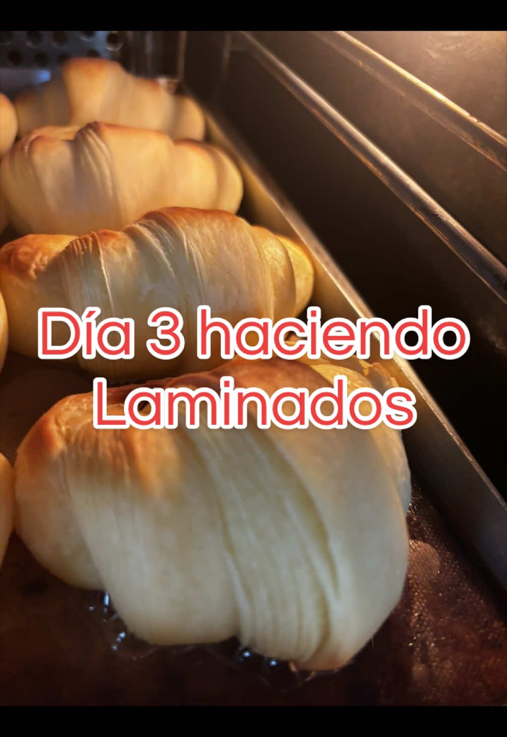 @pasteles mushis