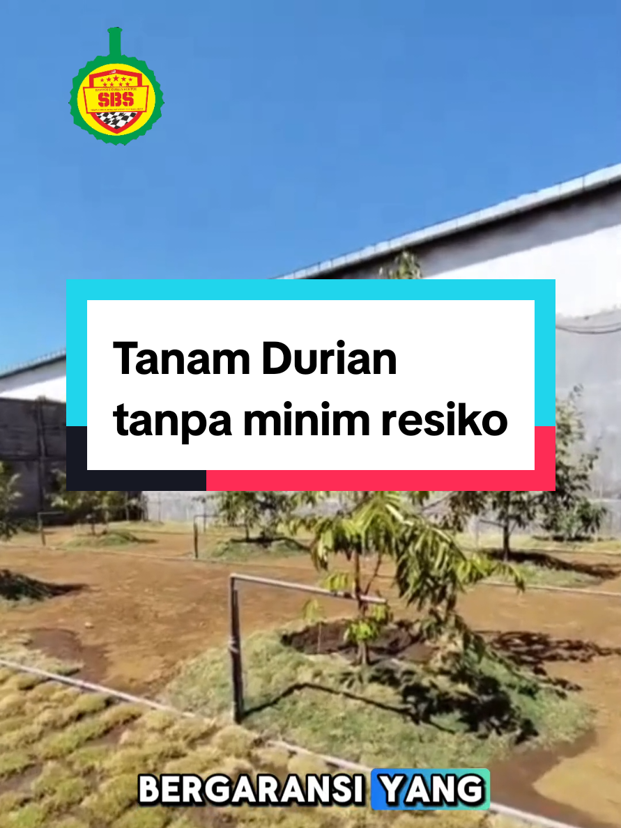 @Produksi Buah_SBS