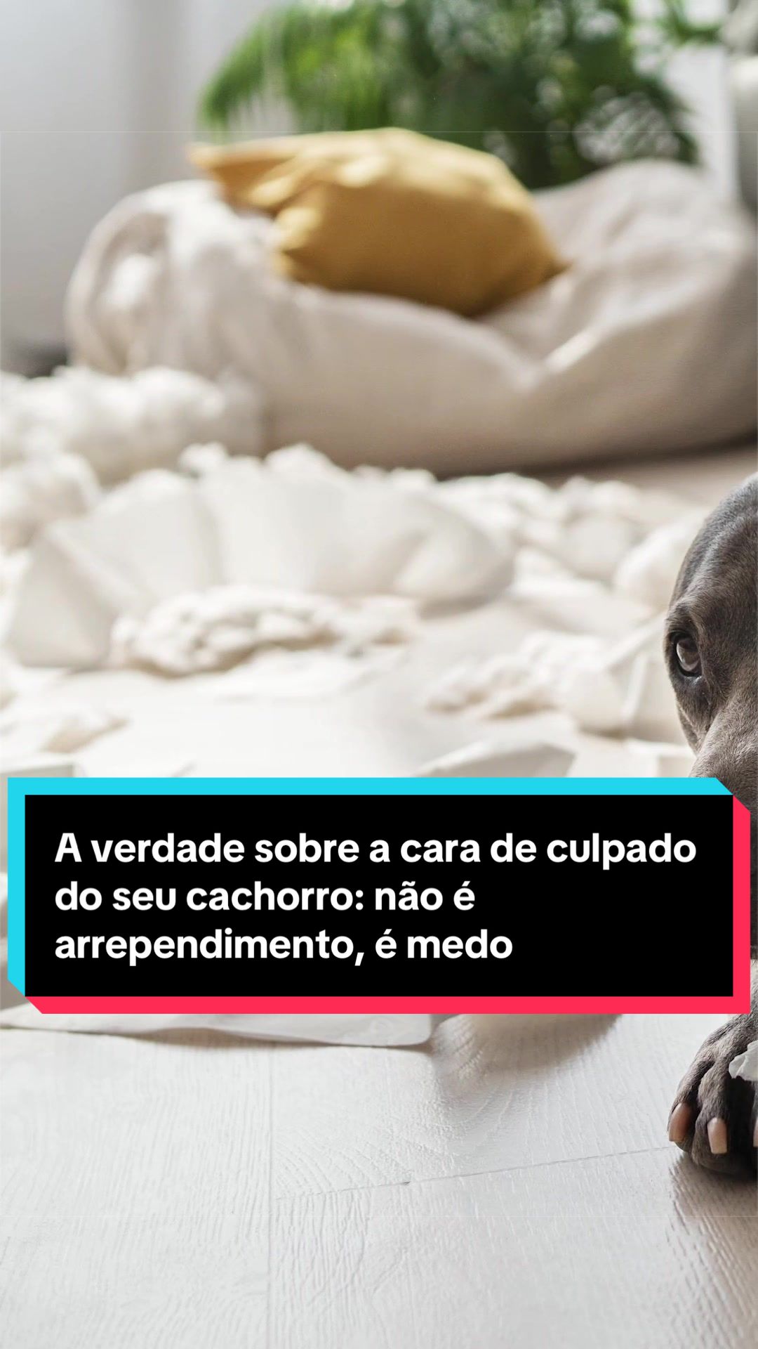 @Banheira de conhecimento