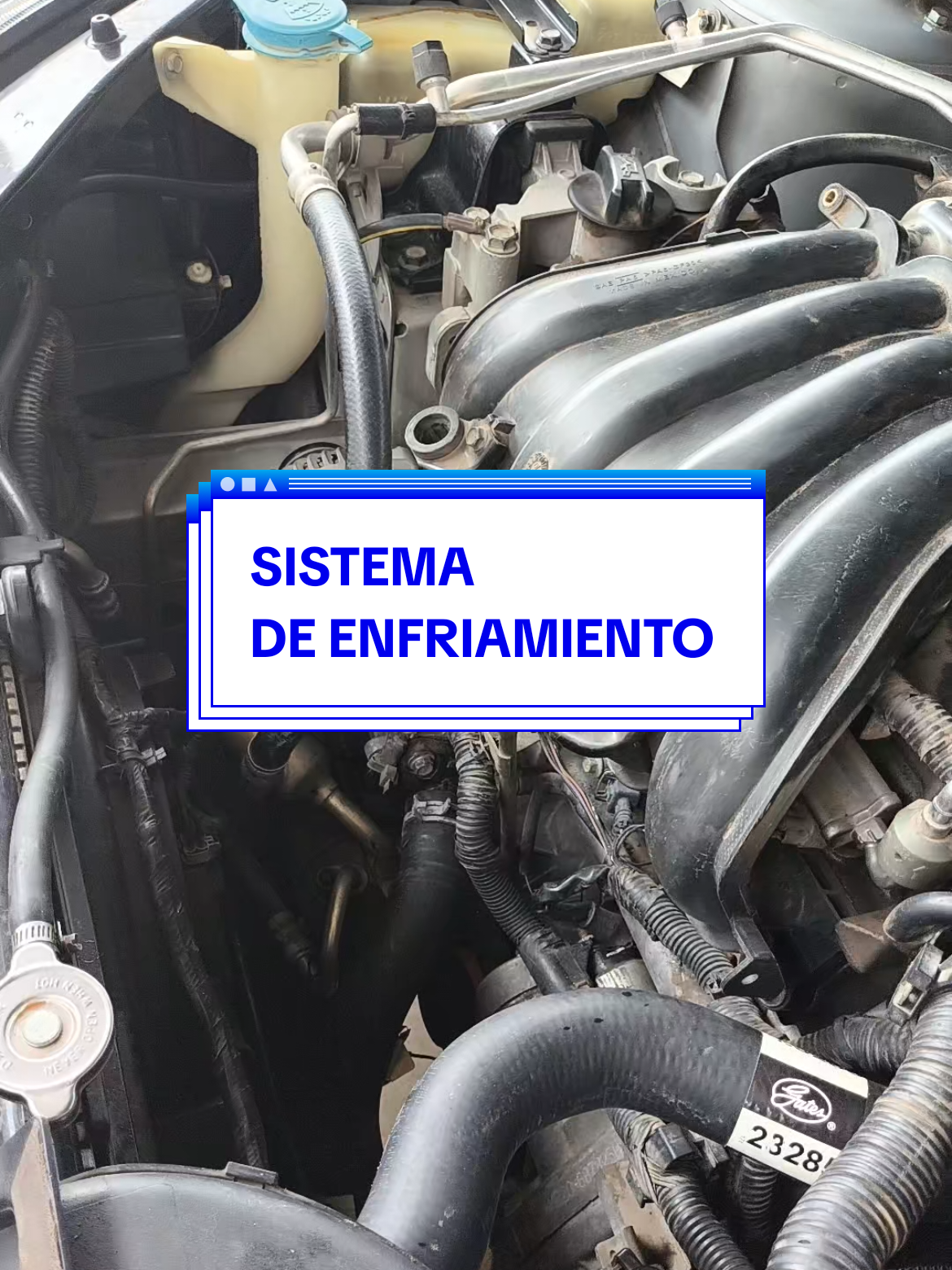 @Grupo Técnico Automotriz🇲🇽🌎