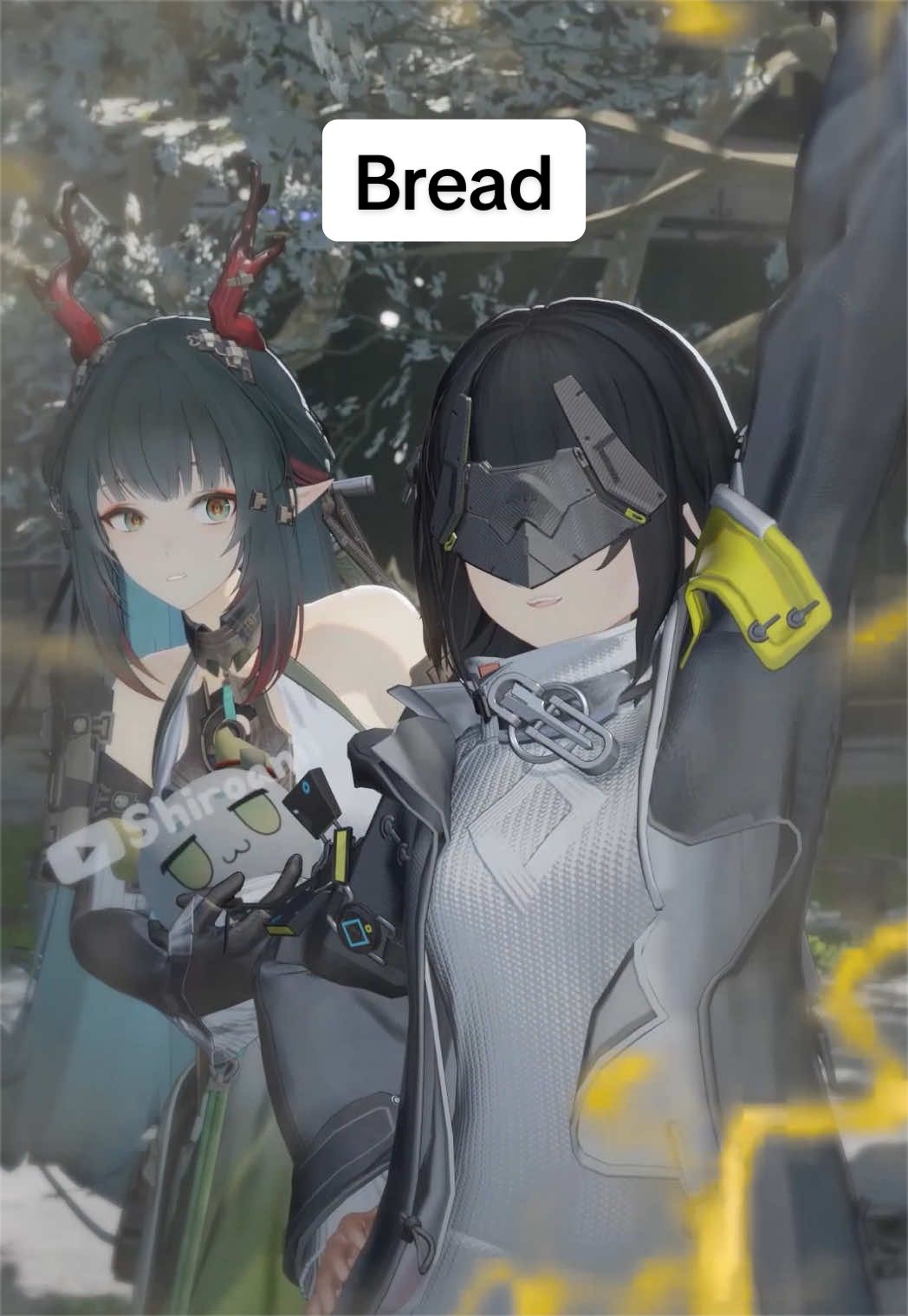 @shiroanii