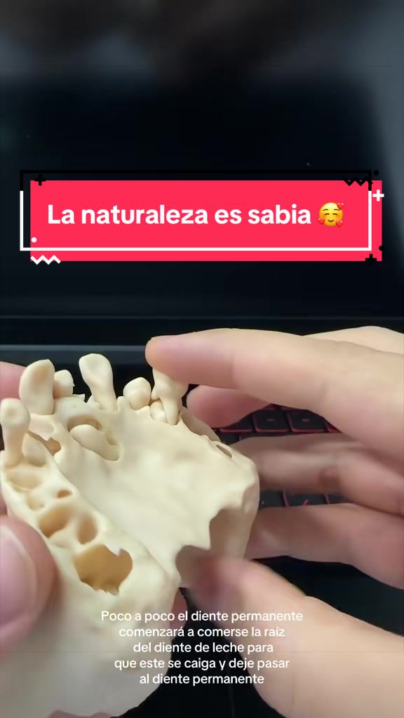@DrLeonelSantos