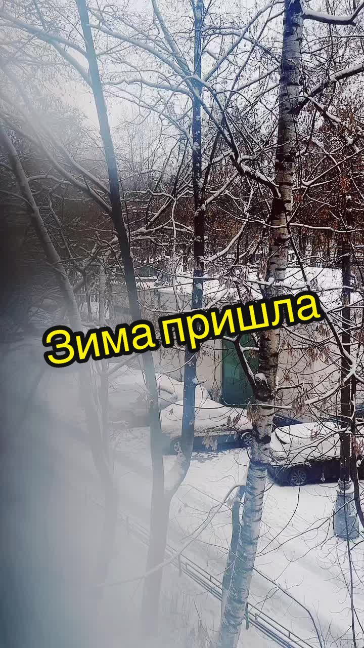 @Кот Мориска