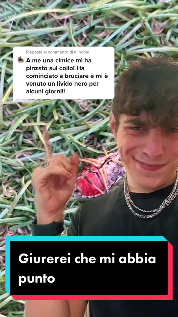 @Simone Bertoldi