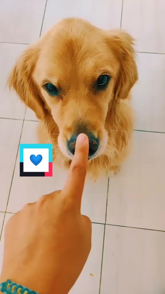 @user3368163590338