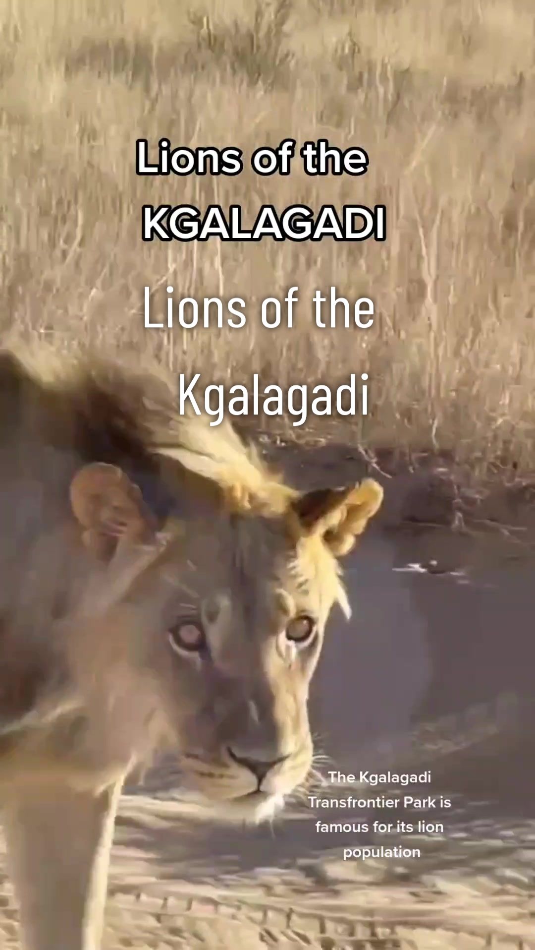 @ouradventuresnearandfar