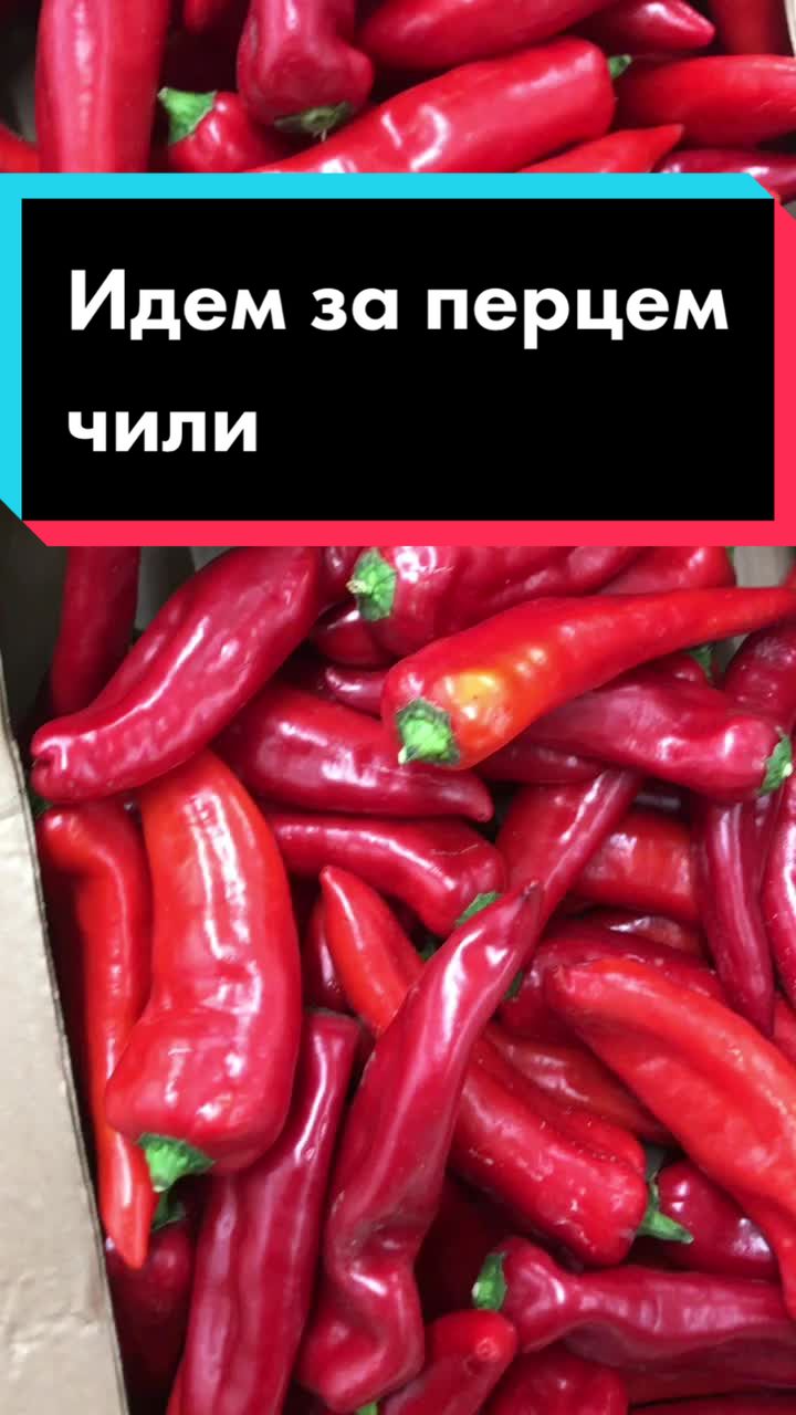 @Разрушительница мифов😎