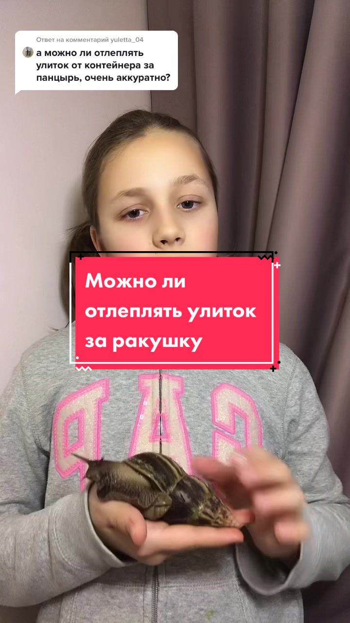 @Улиточки ахатины 🐌💕