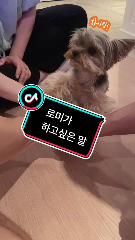 @thebrianjoo