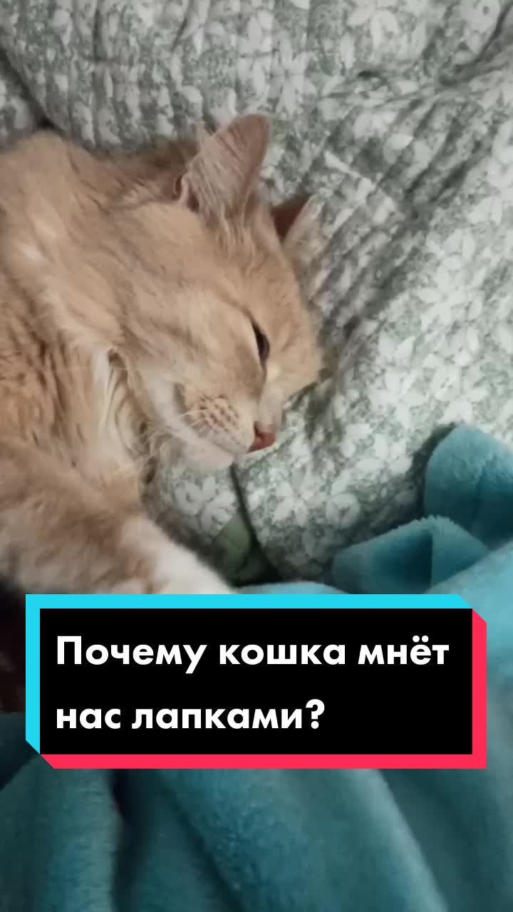 @leva.opakot