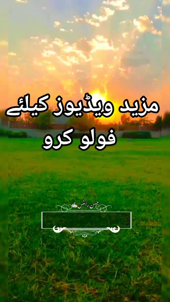 @Ch Hassan Rajoka👑