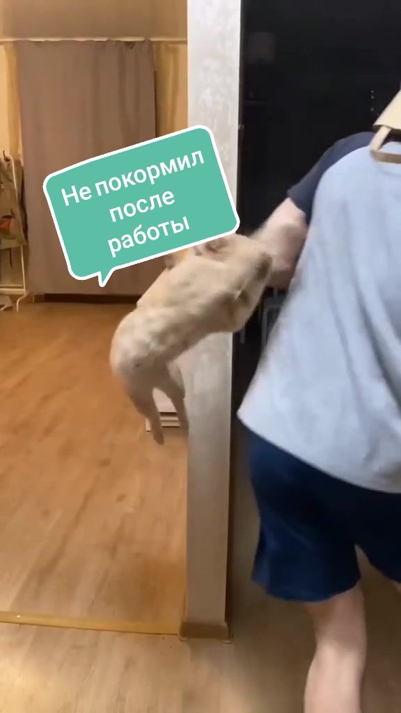 @Pikabu
