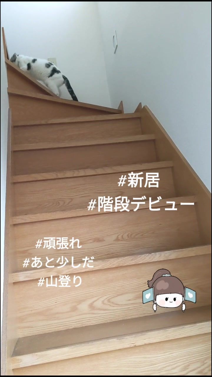 @レオฅ(^^ฅ)