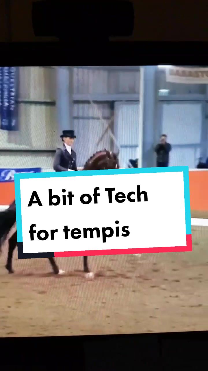 @Artline Dressage