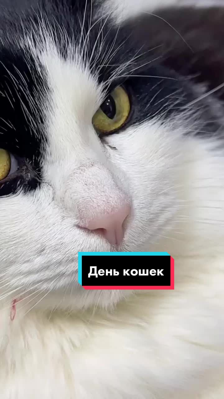 @Spb.dnevnik