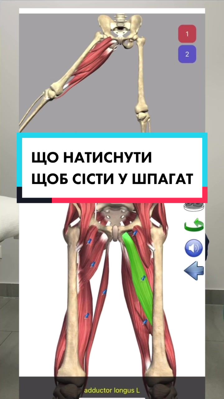 @B I K M A E V