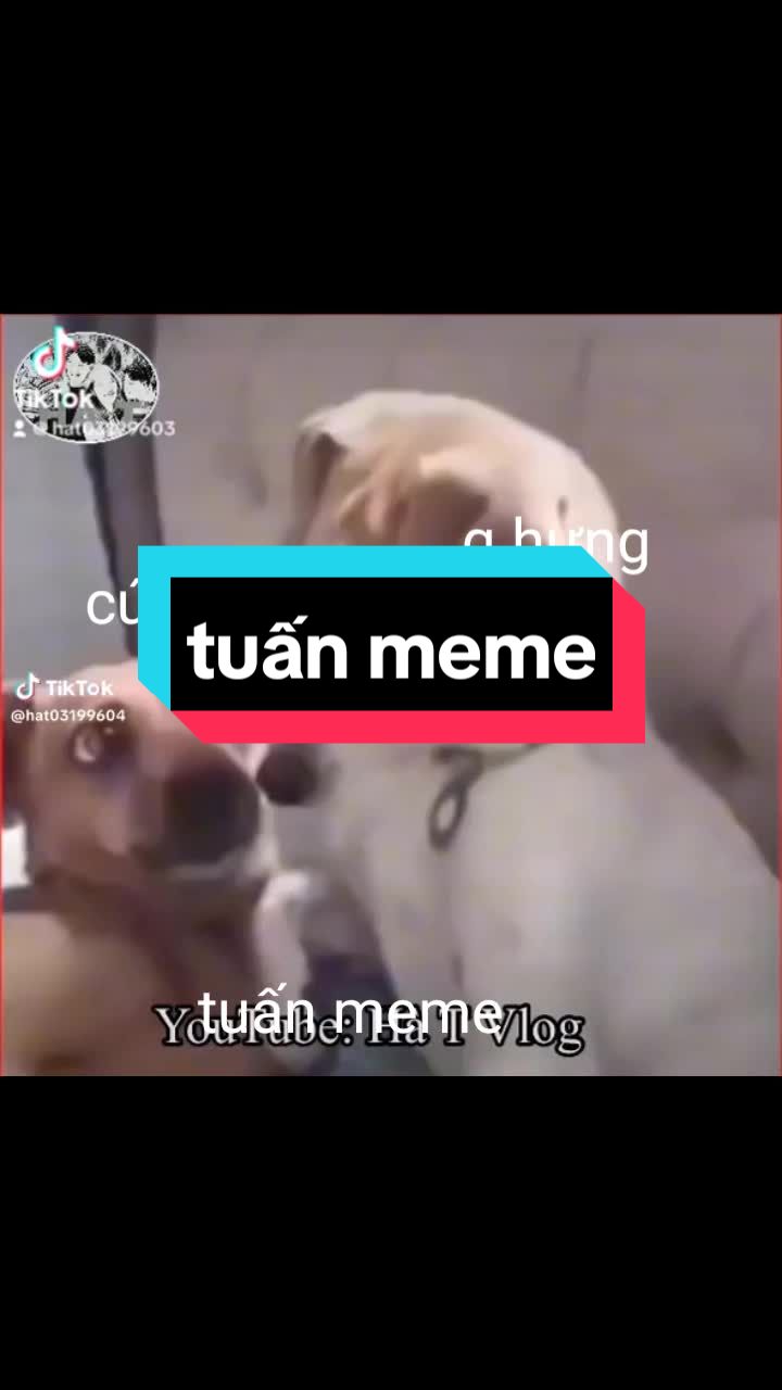@Nguyễn Quốc Tuấn