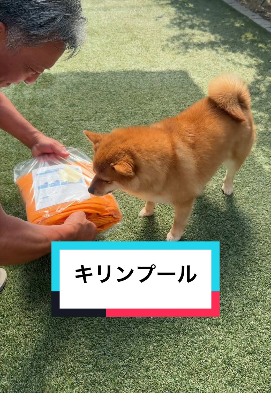 @🐶とん&ぺっぺこぺー🦊