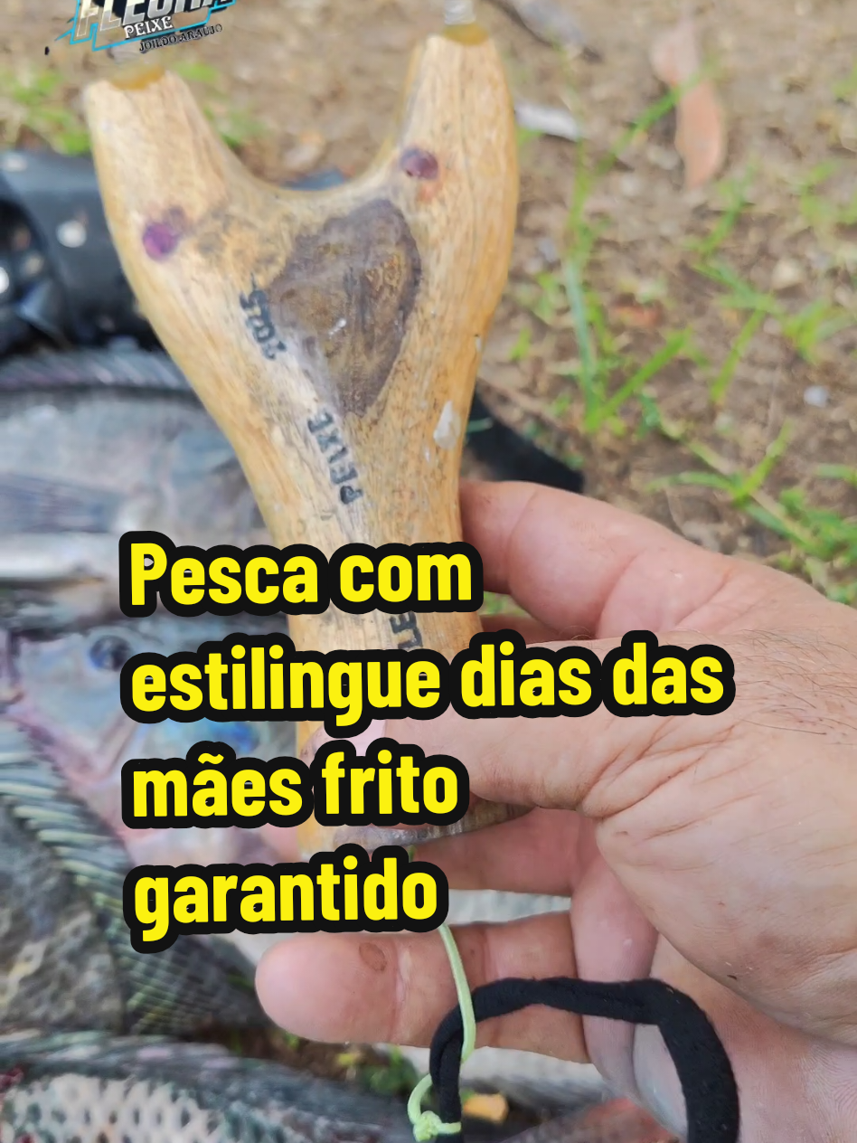 @Joildo Araujo