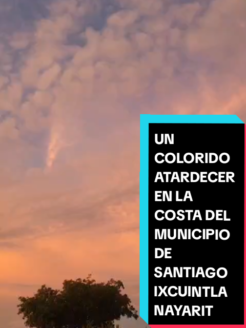 @Eliseo López