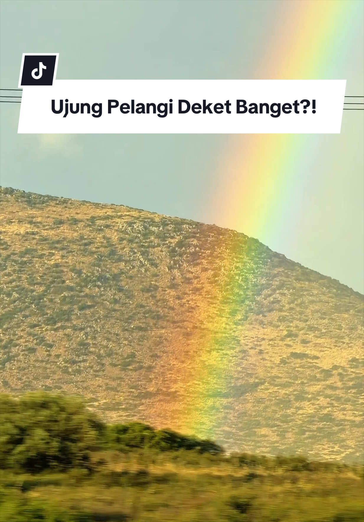 @tampan