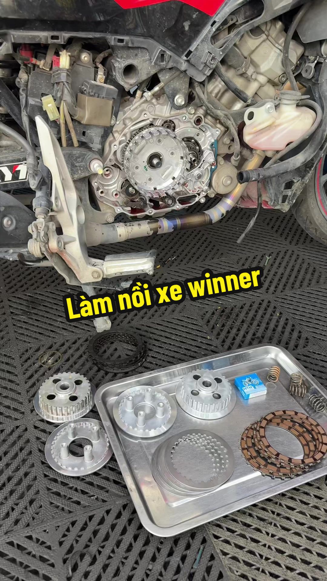 @Đạt Là 🇻🇳