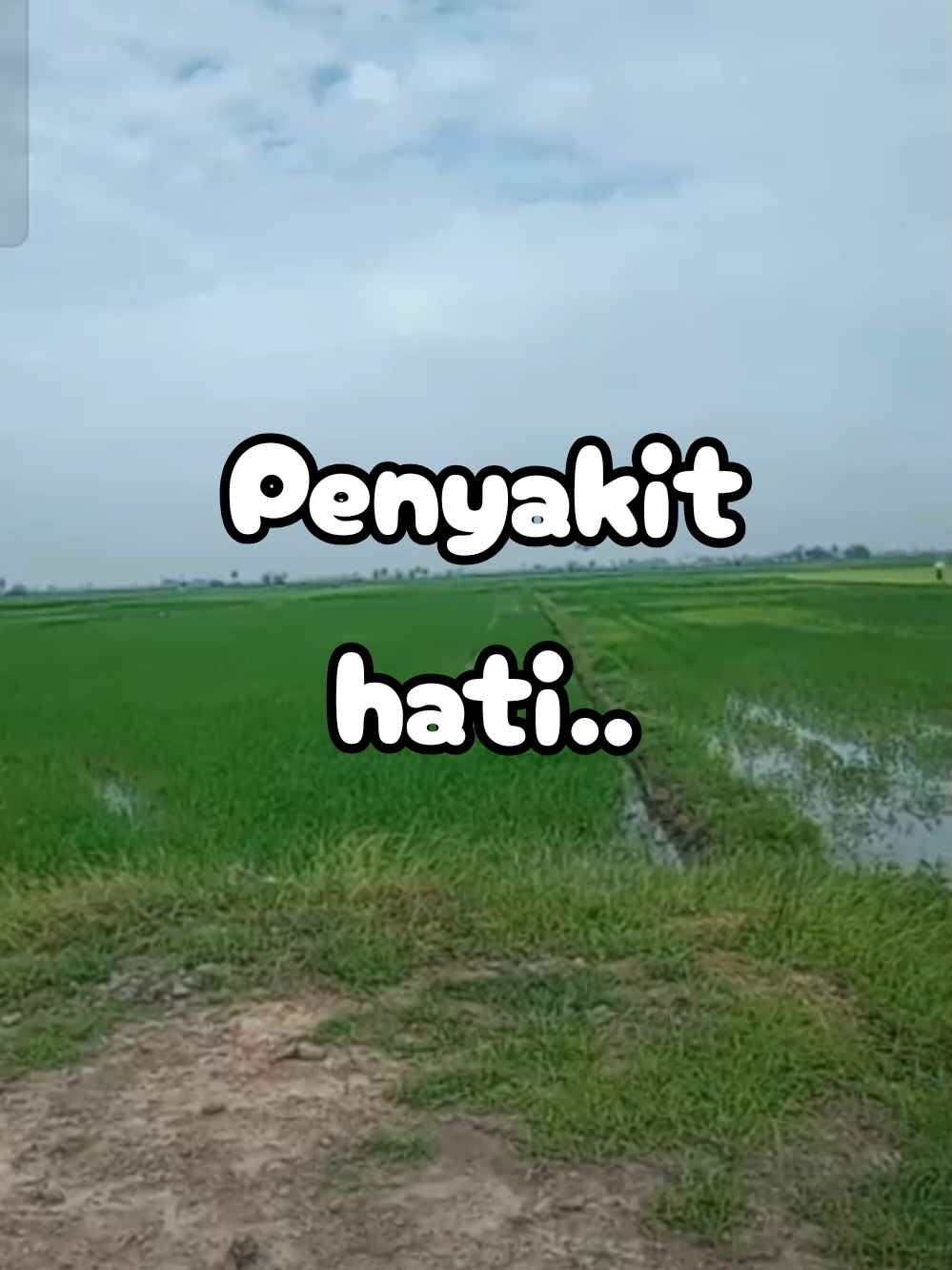 @EIZZwANRoSSY™