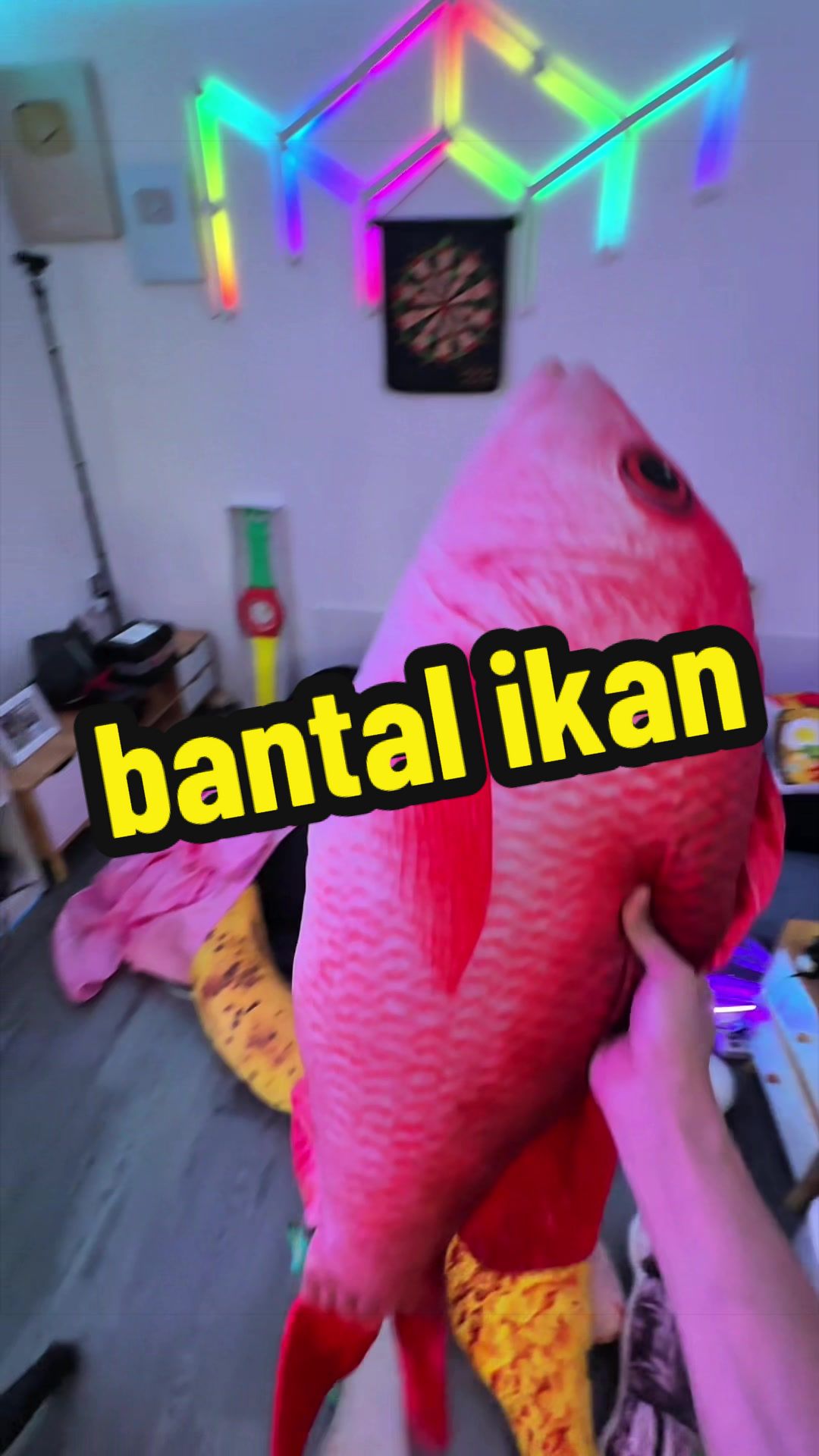 @Kamar Aesthetic