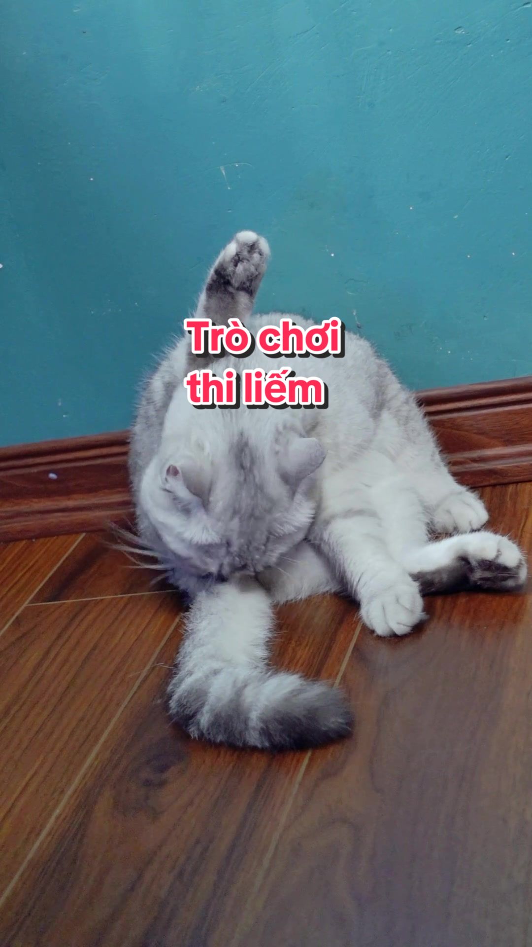 @Ốc V&agrave; Con