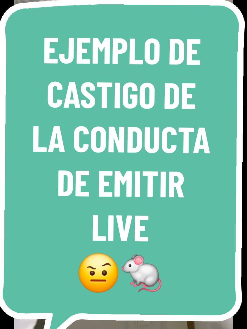 @Ratroll | Psicología 🐭