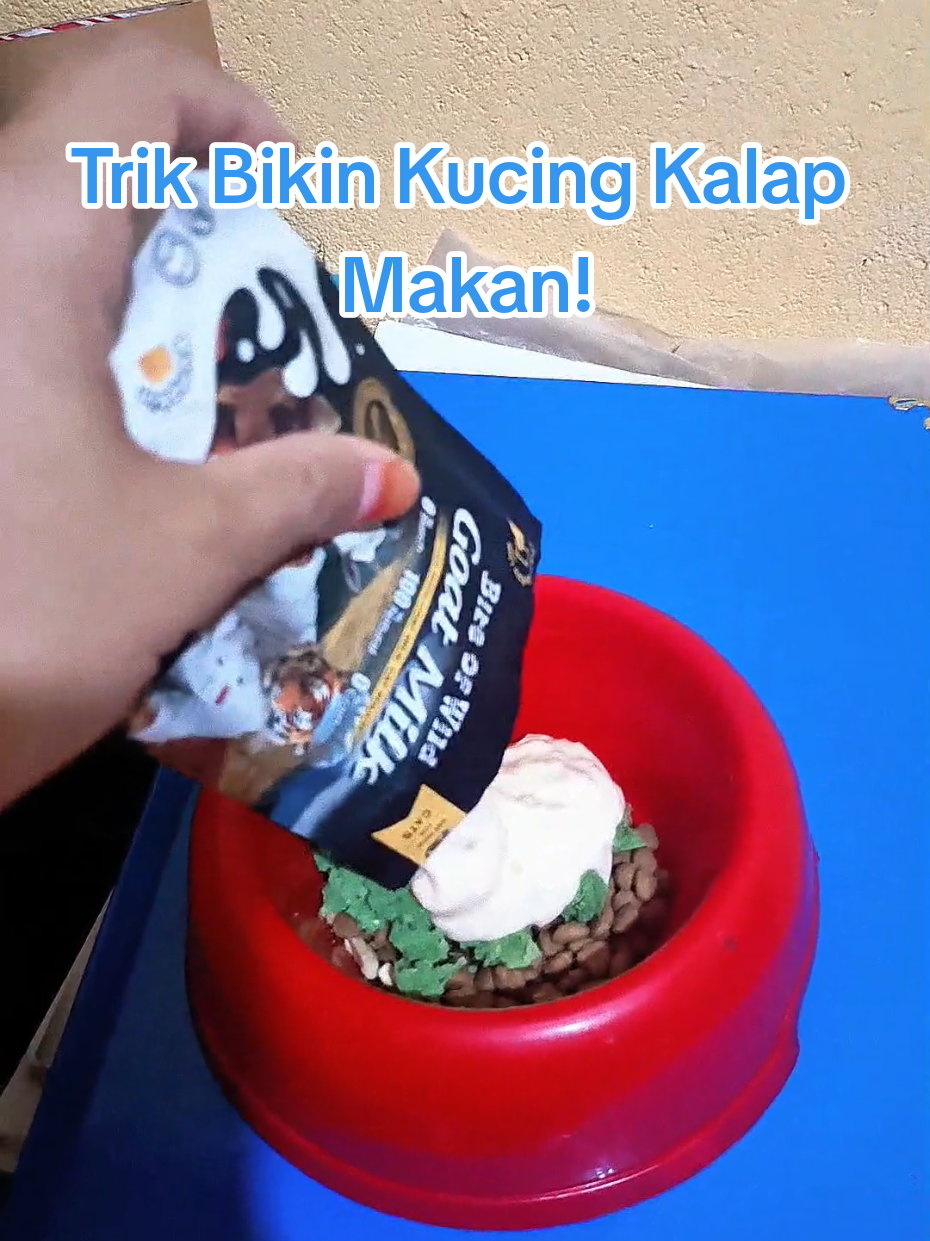 @Medayo Petcare