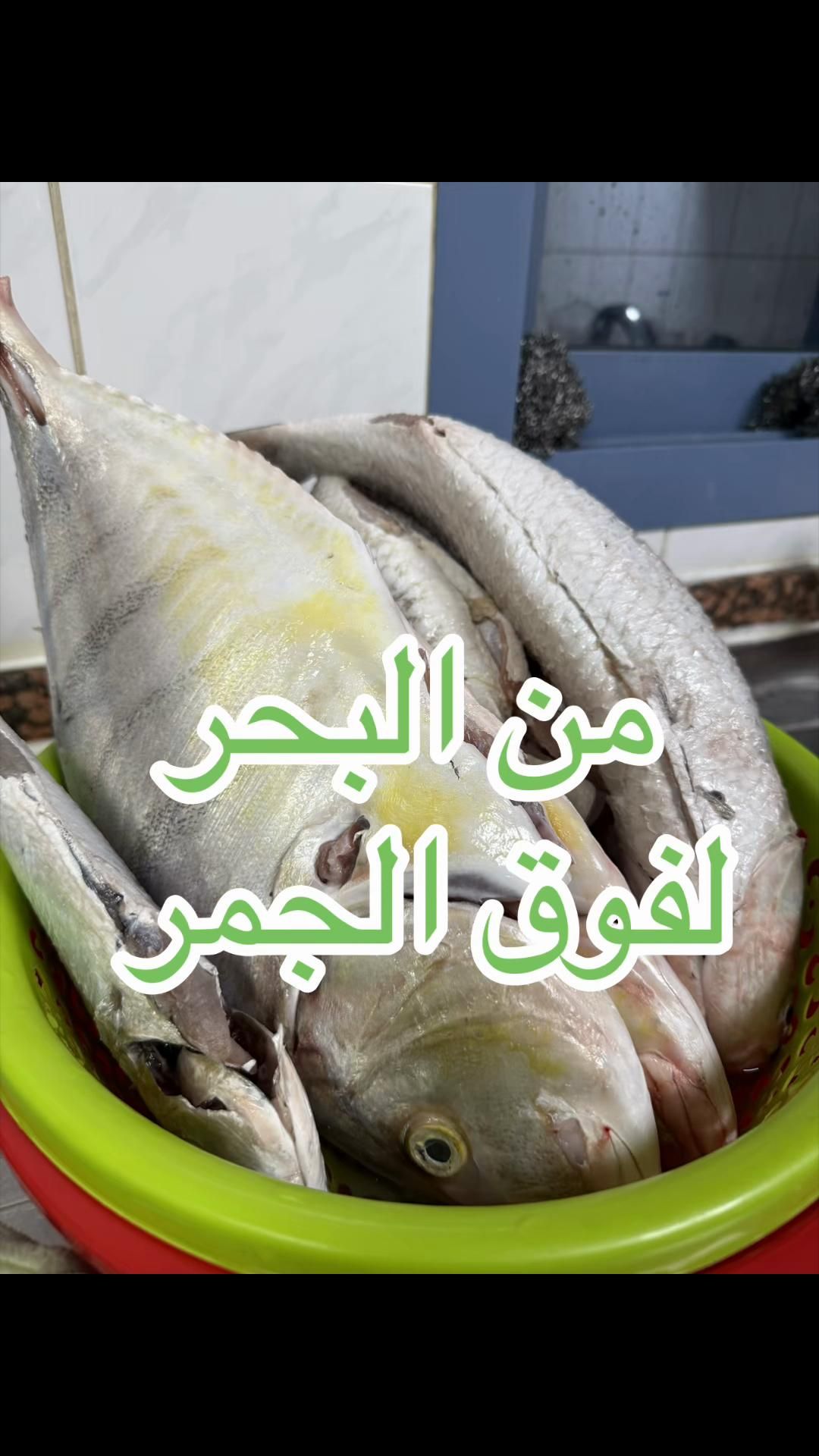 @saeed sports