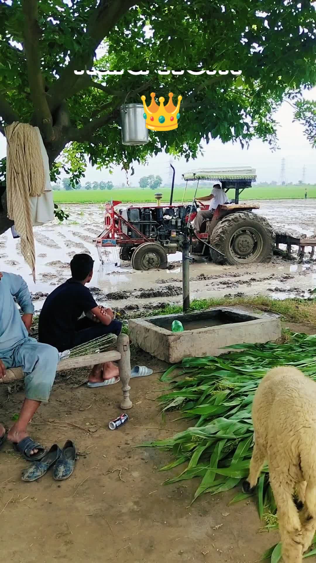 @Mr Chandu Bhai ๐ฆ
๐ค๐ฆ