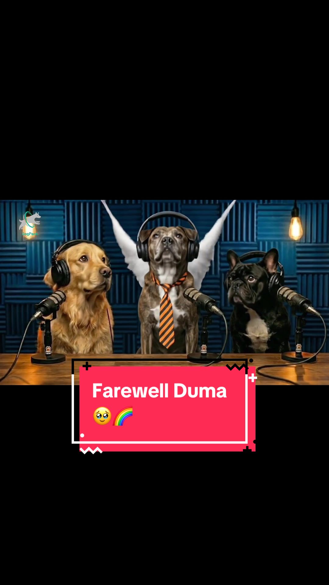 @DogPack