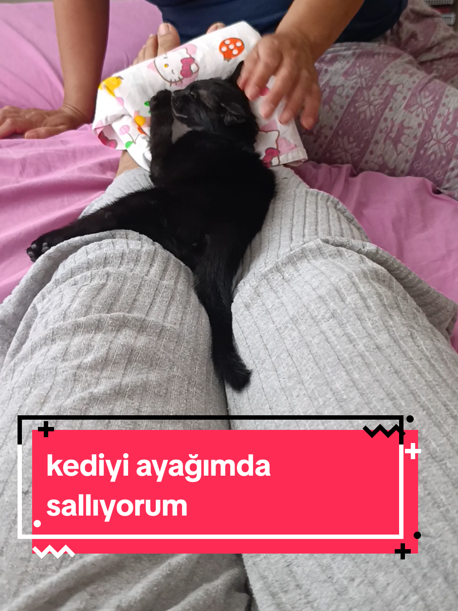 @Karam🐈⬛