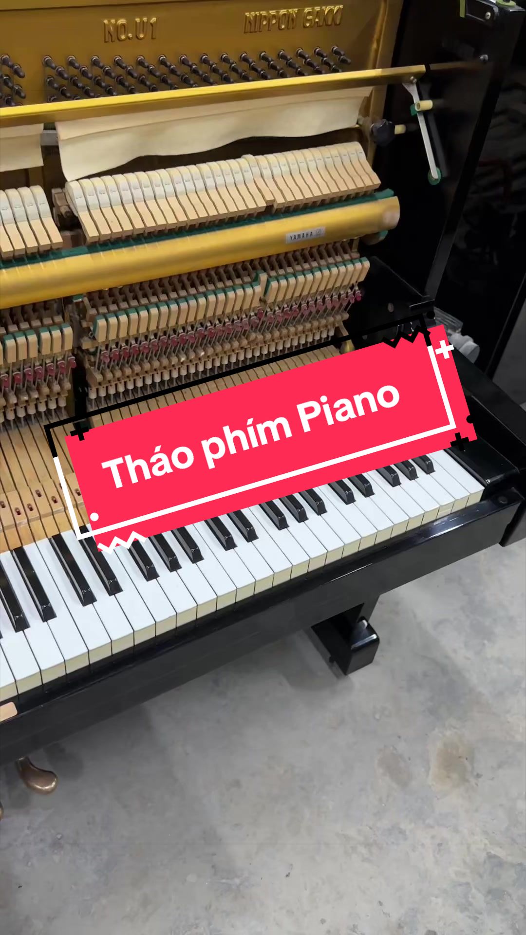 @Tr&iacute; Hiền