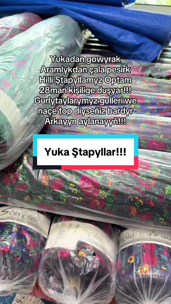 @Birinji el Optam Stapyllar1