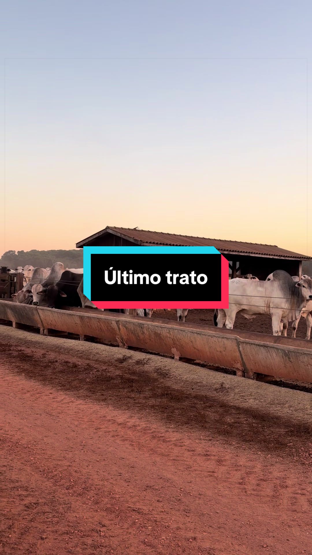 @🍀Santos🚜