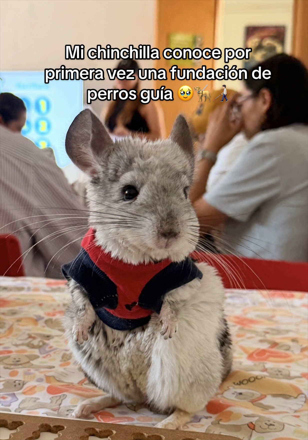 @Creador del exito