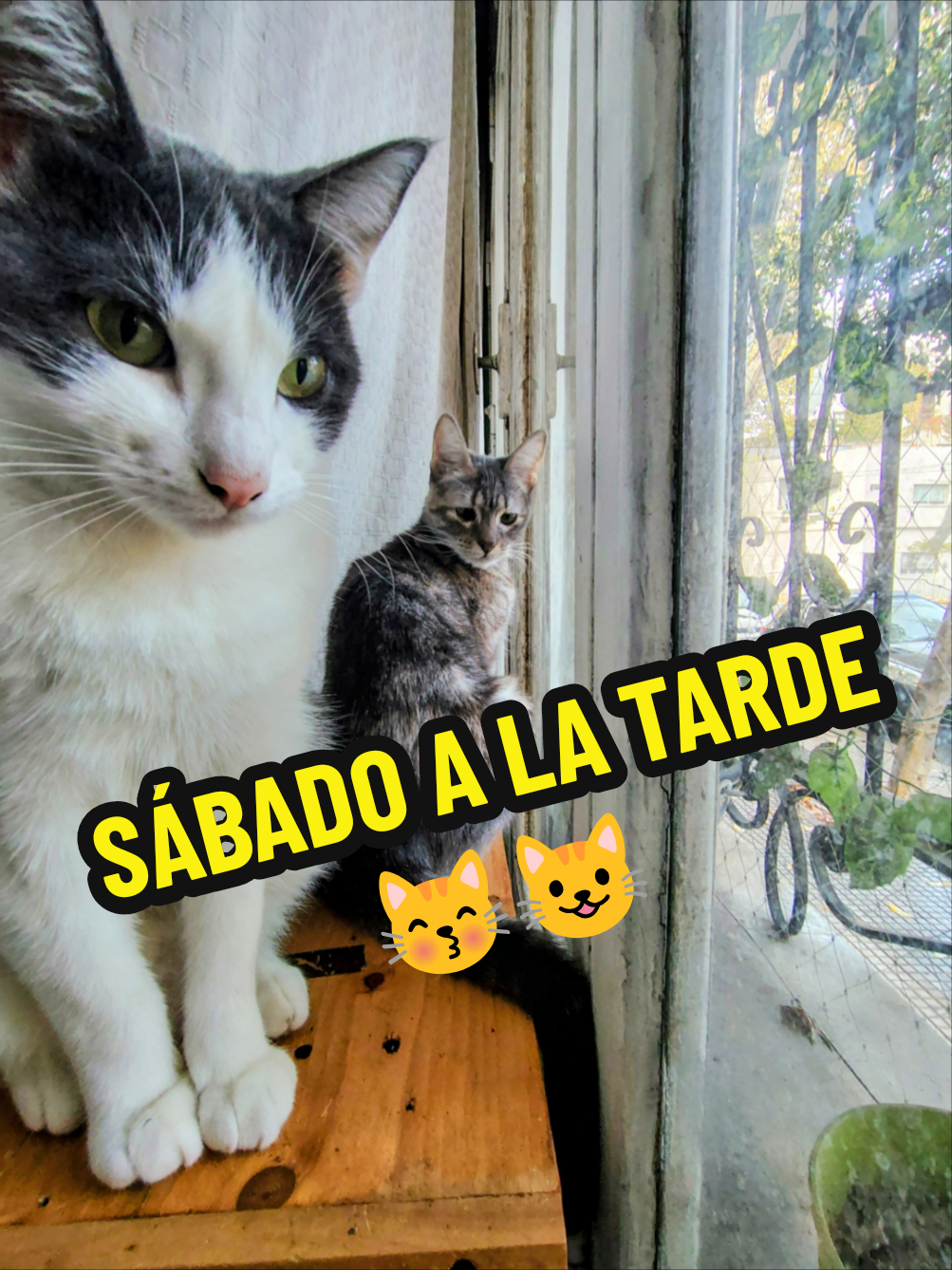 @TITA y RHODESIA