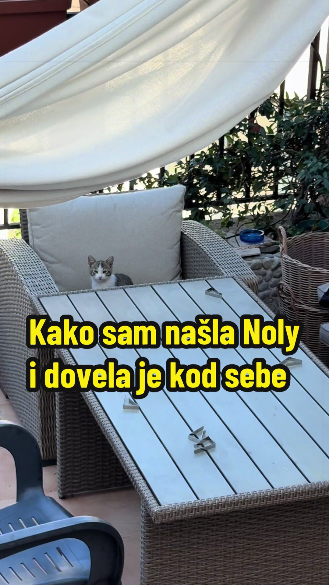 @Maja Kovijanic