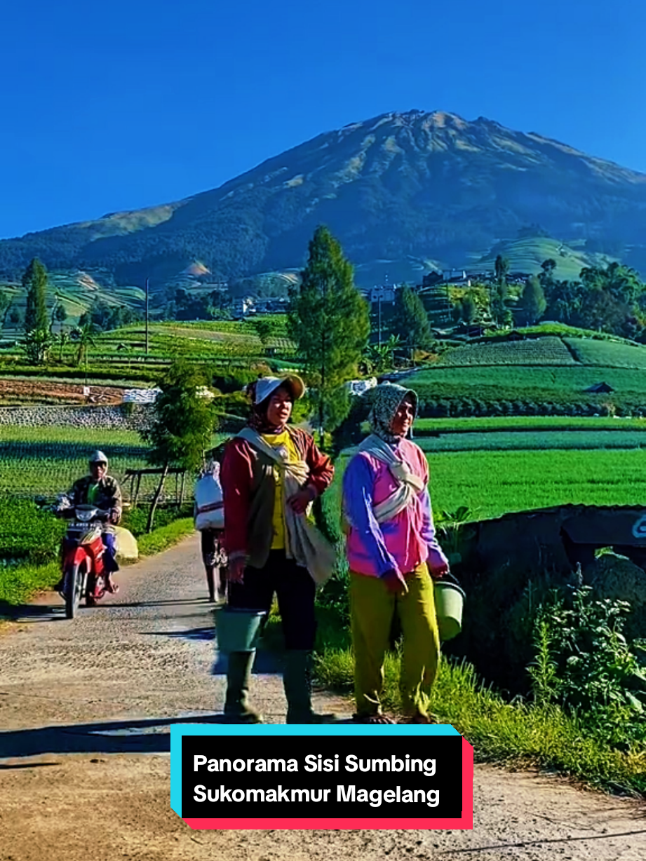@SISI_SUMBING