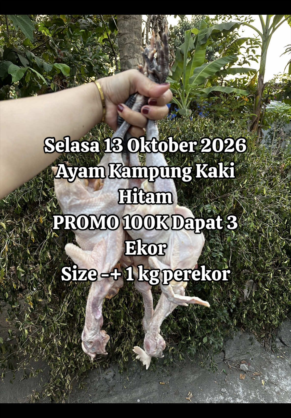 @pesekseafood