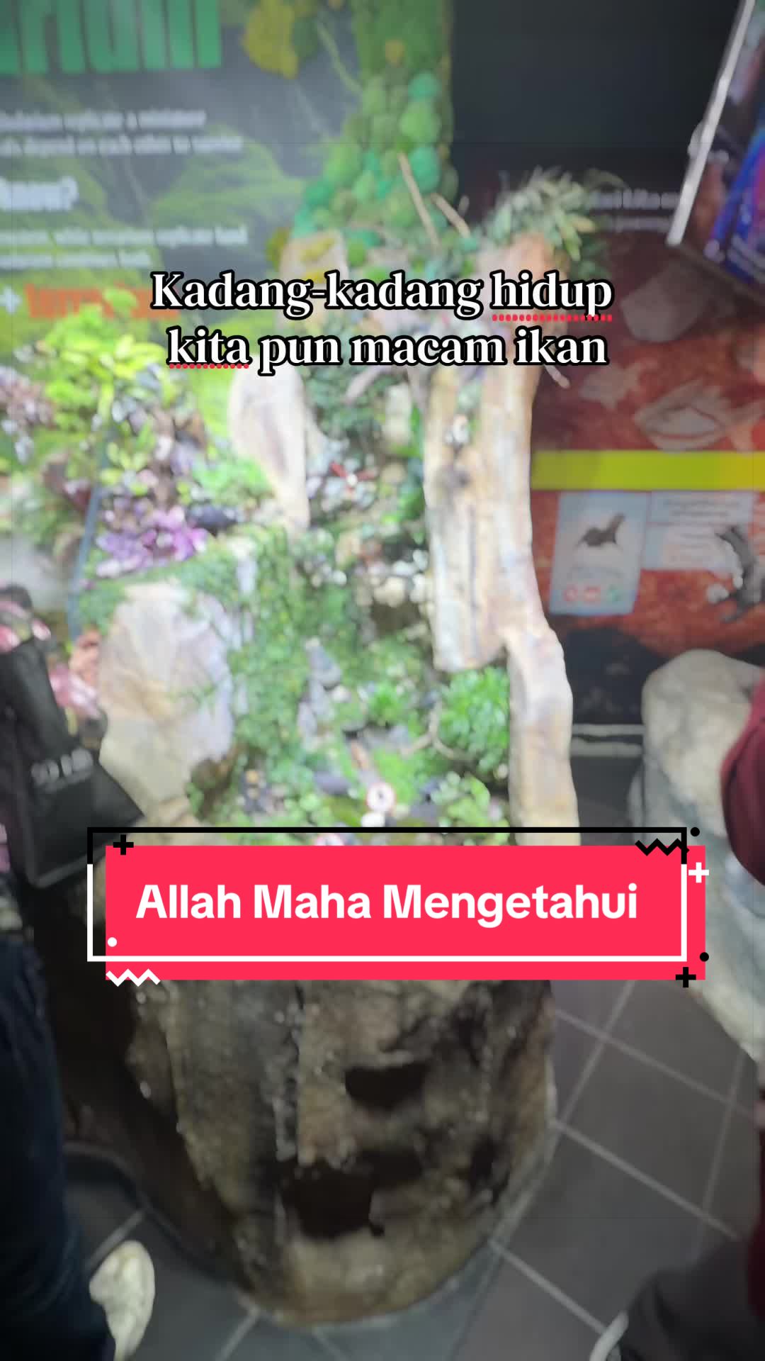 @Nur