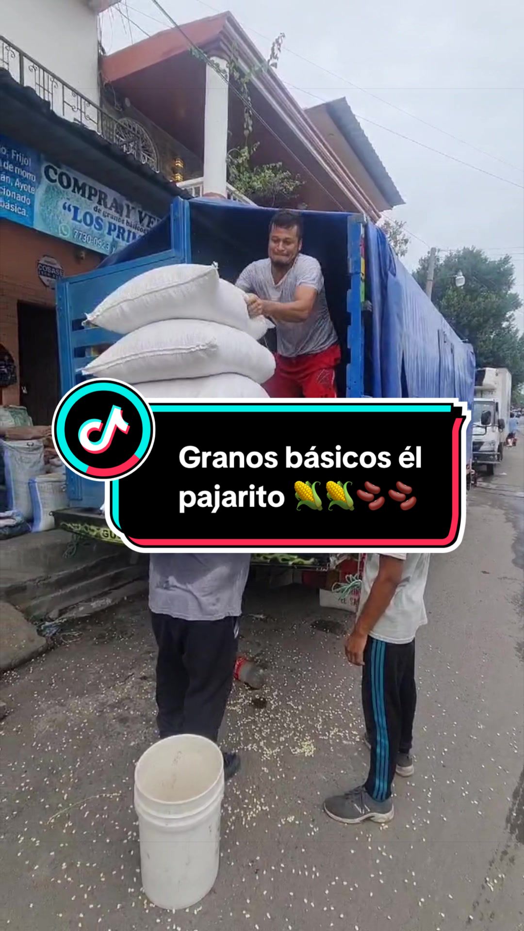 @Granos básicos él pajarito 🌽