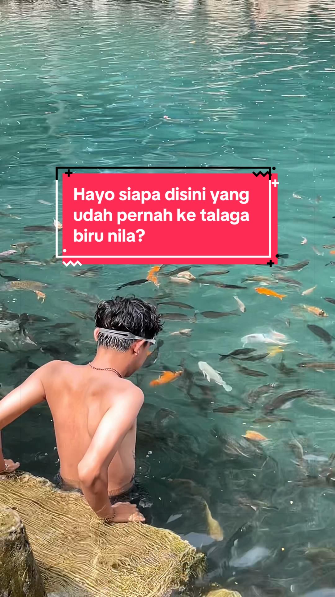 @fahry🐬
